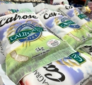 カリフォルニア産米「カルローズ」、COSTCO全店にて販売再開！試食プロモーションによる販促サポートを実施
